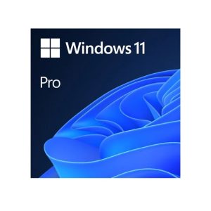 Win Pro FPP 11 64-bit All Lng PK Lic Online DwnLd NR