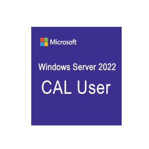 Windows Server 2022 - 1 User CAL