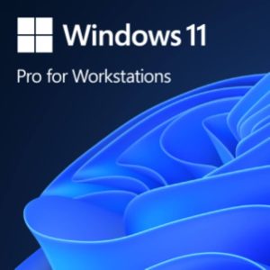Win Pro for Wrkstns 11 64Bit Eng Intl 1pk DSP OEI DVD (HZV-00101)